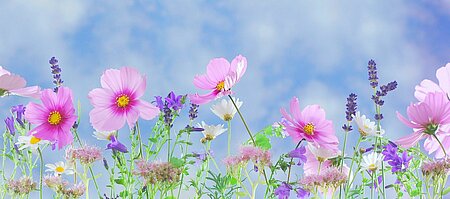 Blommor