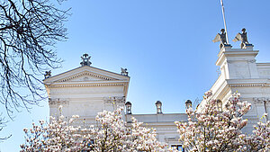 The university building can be seen behind the blossoming magnolias.